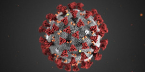 Coronavirus 2019-nCoV-CDC-23312; © Bild: Gemeinfrei/CDC/ Alissa Eckert, MS; Dan Higgins, MAM.