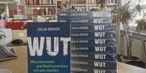 Das Buch Wut von Julia Ebner ist zu sehen, fotografiert auf einem Schreitisch in der Bibliothek der Landeszentrale.